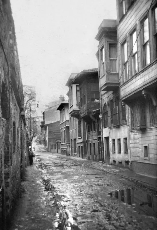 Закончив работу я вешал еще влажную картину торопливо срисованную с одной из - фото 160