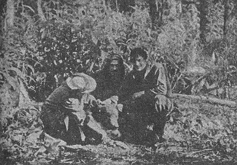 Этого сняли с дерева Однако далеко не всегда эти игры столь невинны В 1967 - фото 3