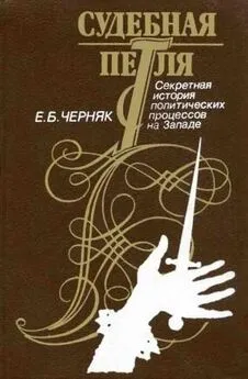 Ефим Черняк - Судебная петля: Секретная история политических процессов на Западе