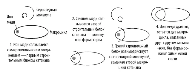 Синтез катенанов методом Саважа Это существенно изменило направление его - фото 402