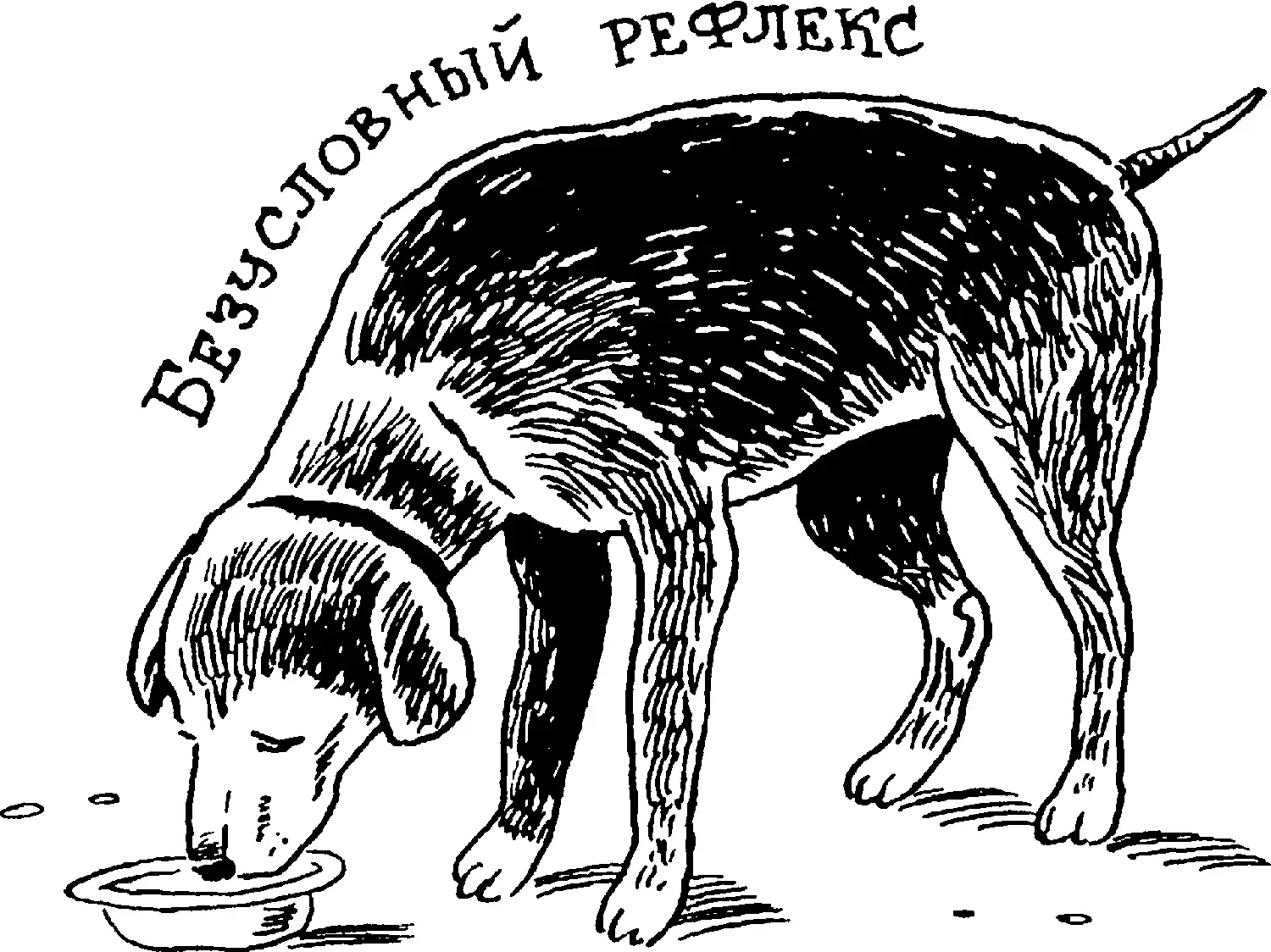 Связи временные Свои исследования высших психических функций головного мозга - фото 113