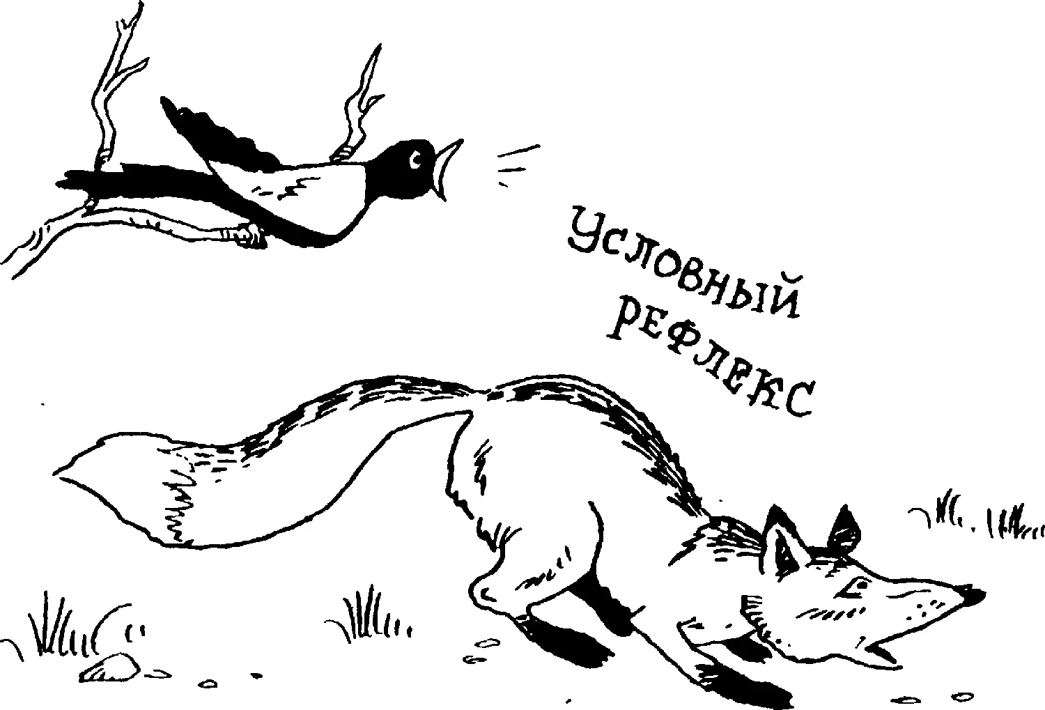 Люди далекие от науки часто сомневаются в том что условные рефлексы - фото 114