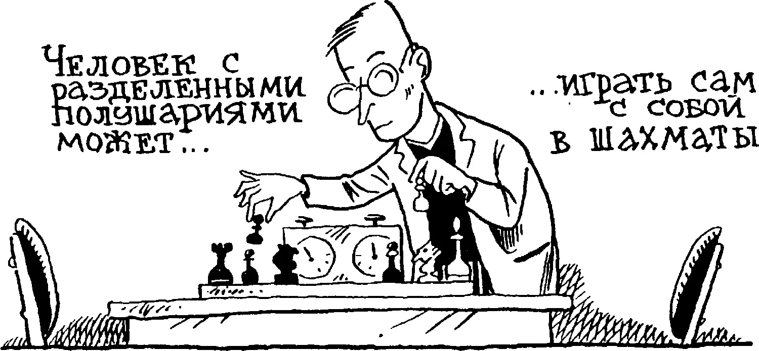 Первое что обращает на себя внимание при пристальном систематическом - фото 118