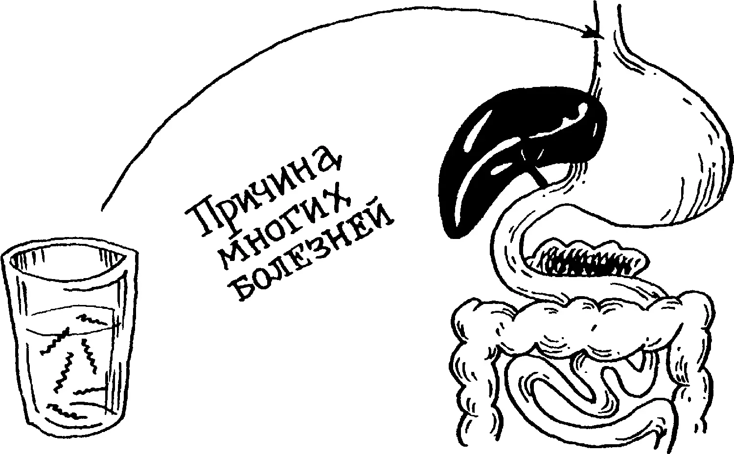 Нужно признать что еще две тысячи лет назад у людей возникали догадки о живой - фото 129