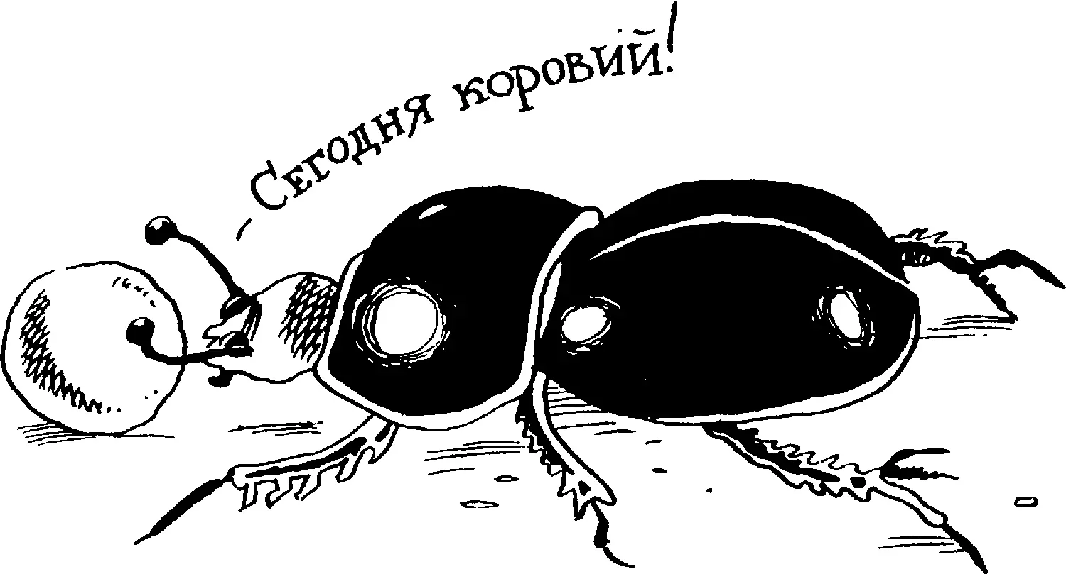 Человек существо всеядное Кроме привычки ему ничего не мешает - фото 50