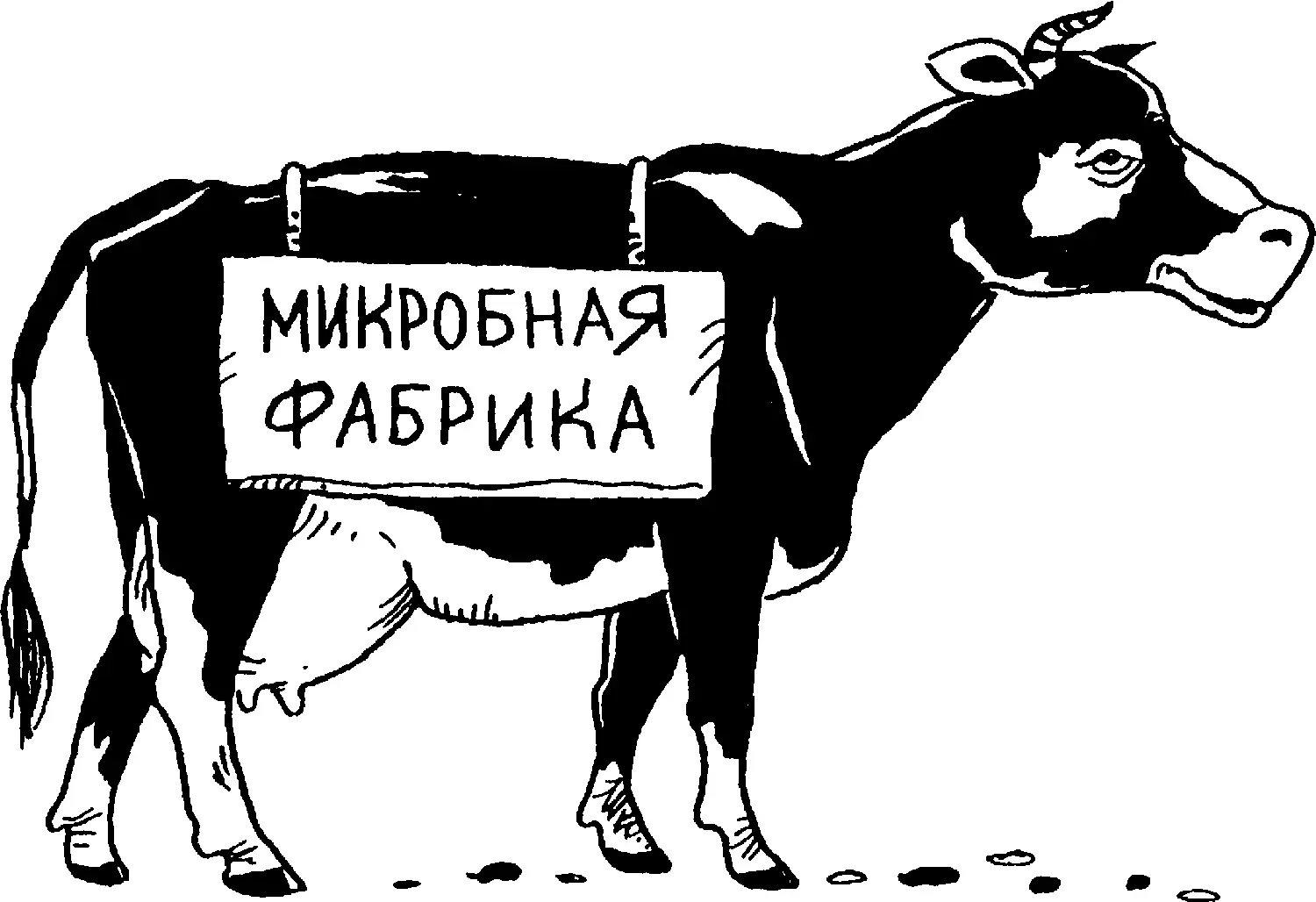 Ученые уже давно ведут поиски заменителей белка В качестве такого вещества - фото 62
