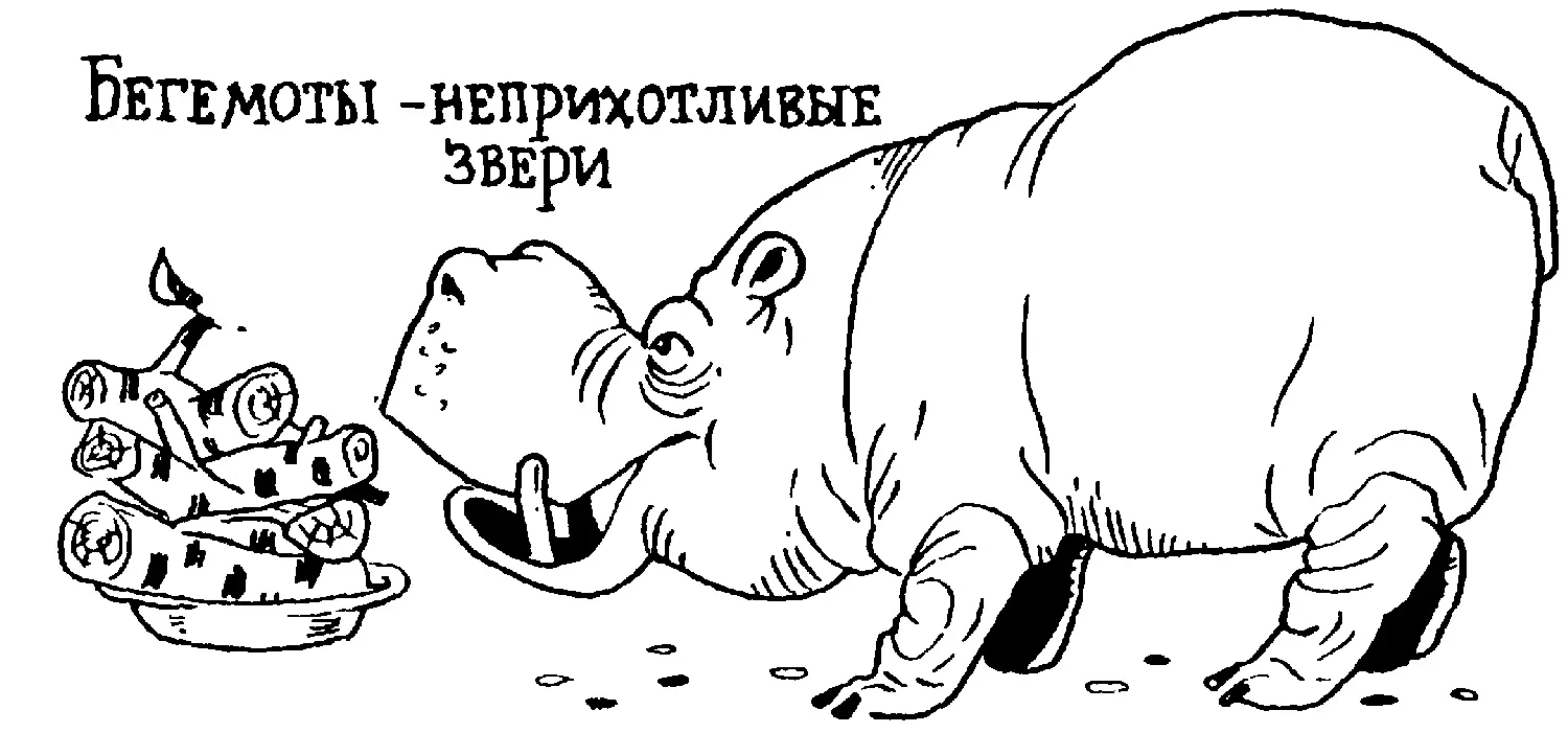 Форточка и насос нашего организма Удивительная новость Такие выражения - фото 63