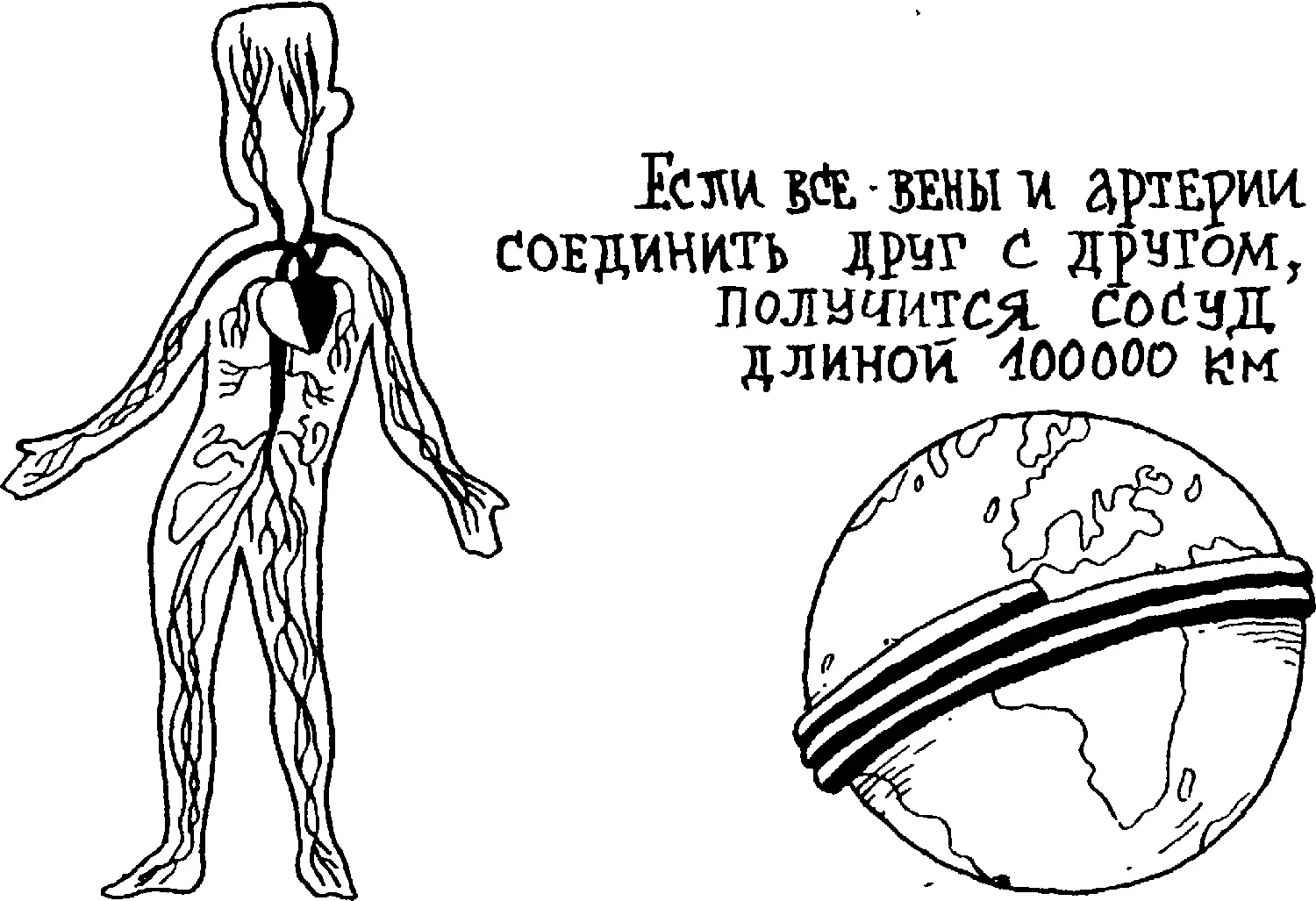 Чтобы протолкнуть кровь через цепочки сосудов сердцу здорового человека - фото 74