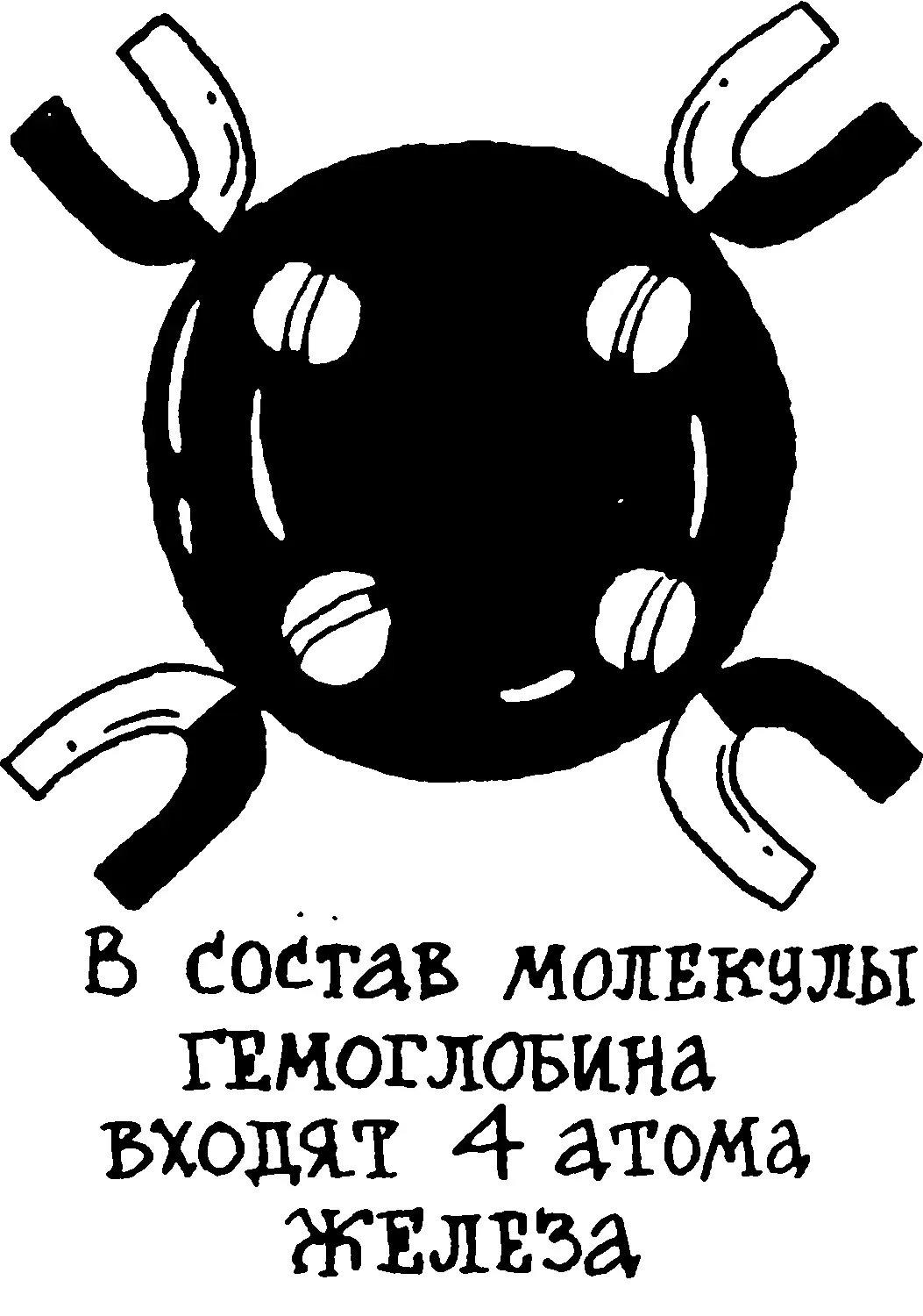Гемоцианин к которому присоединилась молекула кислорода имеет синий цвет Это - фото 75
