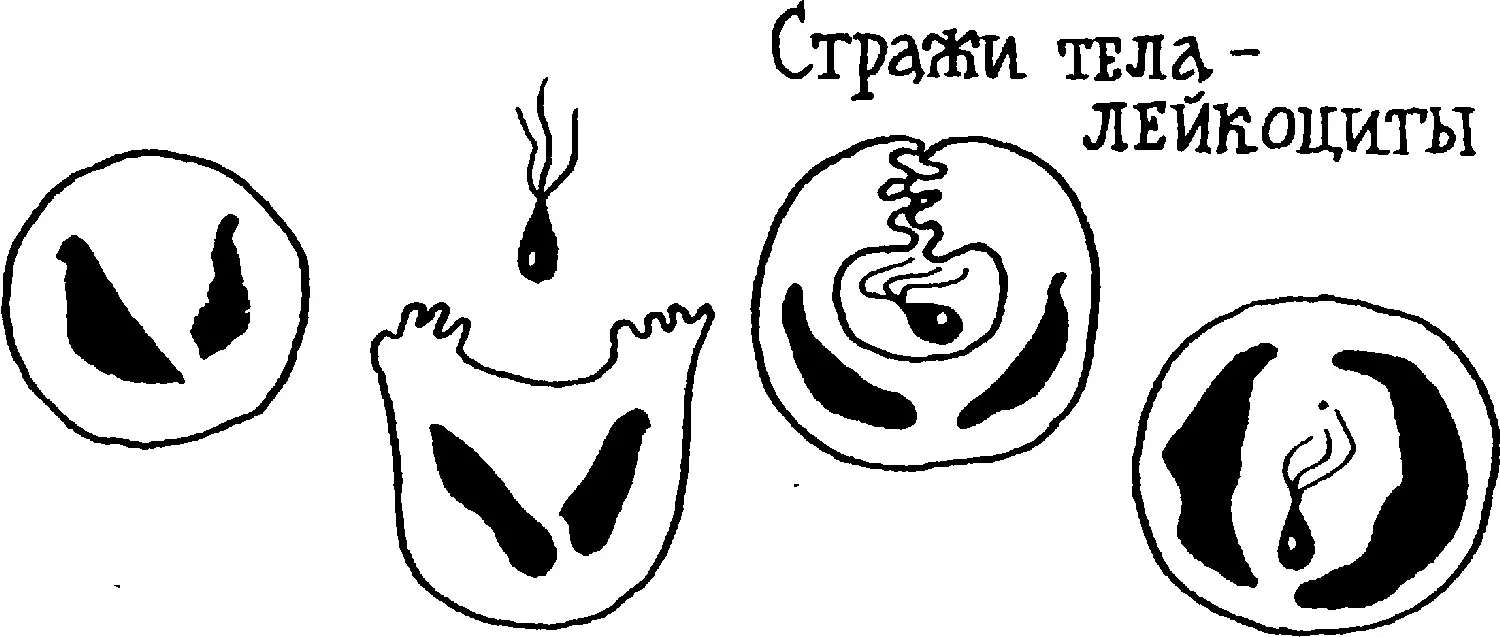 Врагов приходится уничтожать не только в глубинах организма с ними необходимо - фото 78