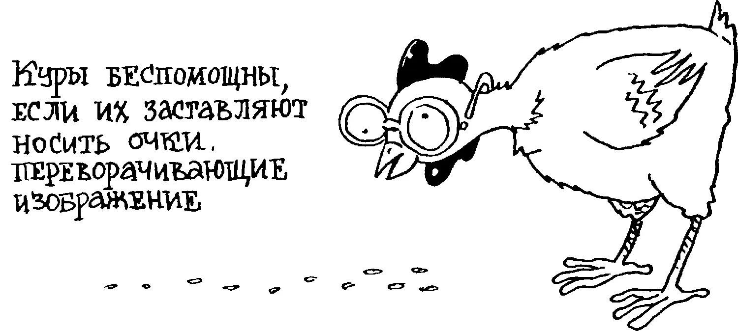 Море звуков Народная поговорка гласит не каждому слуху верь И не веришь Мы - фото 85