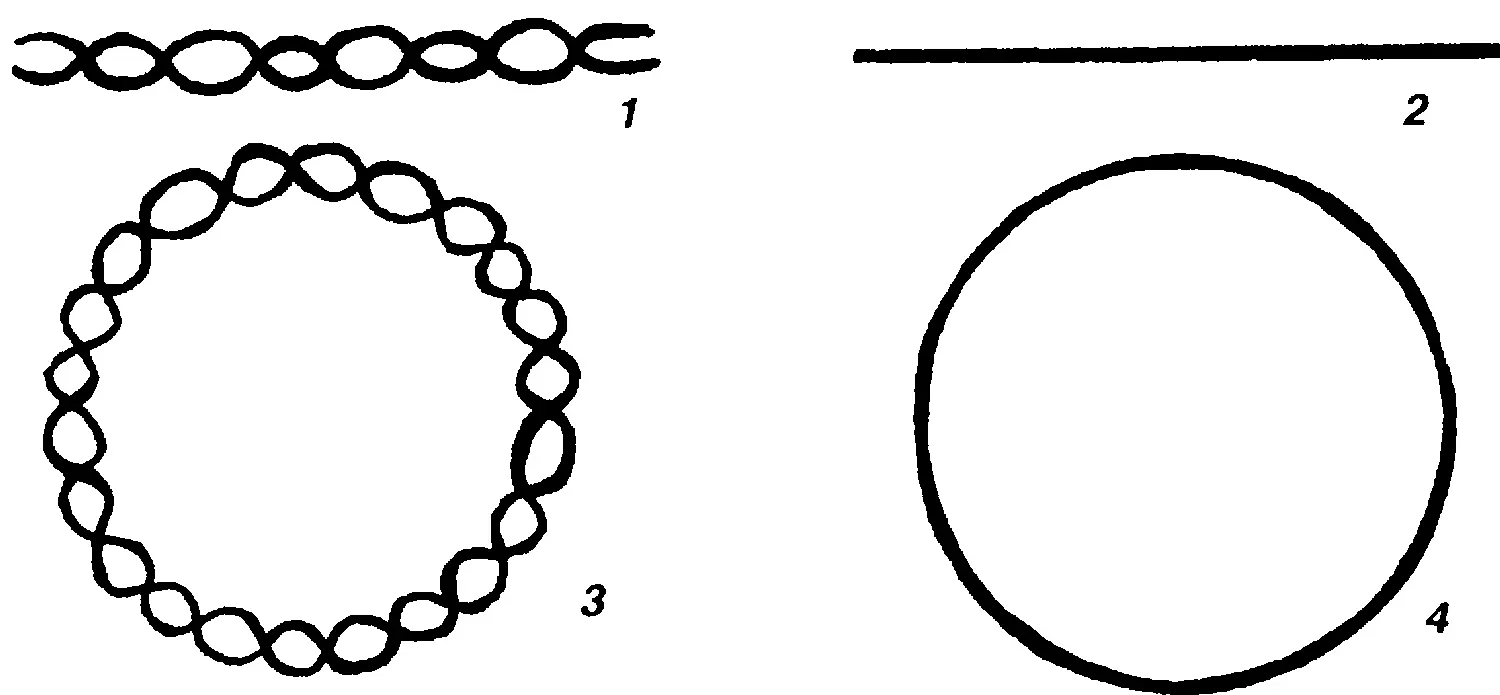 Структура вирусных ДНК1 линейная ДНК в виде двойной спирали2 линейная - фото 9