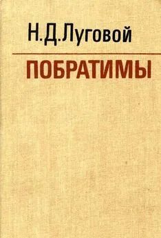 Николай Луговой - Побратимы