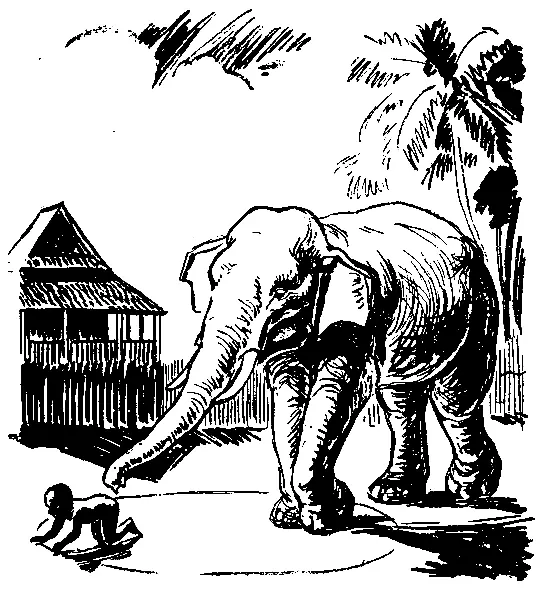 Анпа убежал Слон подошел к кругу начерченному на песке Ребенок ползал - фото 4