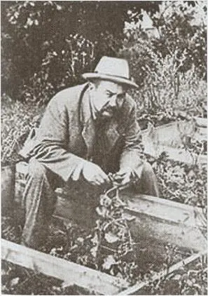 Огородник Гатчина 1910е гг Охотник Гатчина 1910е гг Гат - фото 40