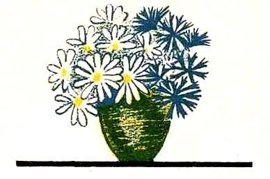 У дяди Васи - фото 10