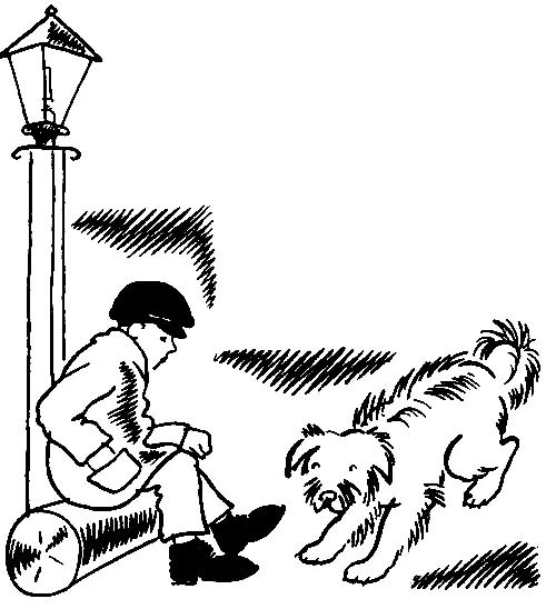 Степанов откройте Кто там Это я Степанов я Иван Гаврилович доктор - фото 9