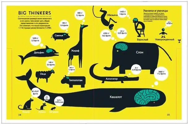 Рис 711 Инфографика Big Thinkers из книги Роджерса и Блечмана 2014 - фото 54