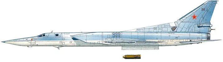 Ту22М3 из состава 840го Краснознаменного тбап из Сольцов Аэродром Мары2 - фото 249