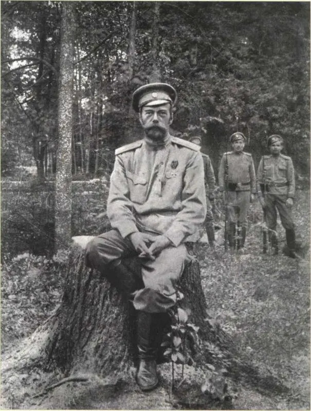 Под арестом в Царском Селе 1917 г Икона святого Царястрастотерпца Николая - фото 31