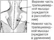 Странно но если очень многие наши мышцы страдают от безделья в отношении плеч - фото 51