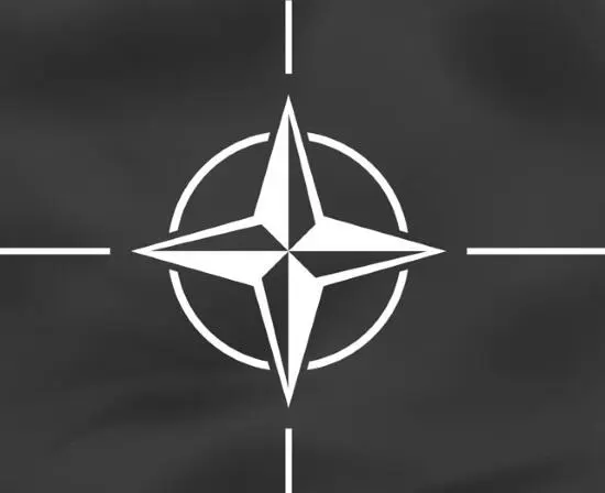 Флаг НАТО Почему же американцы и верхушка альянса так давят на союзников Ответ - фото 86