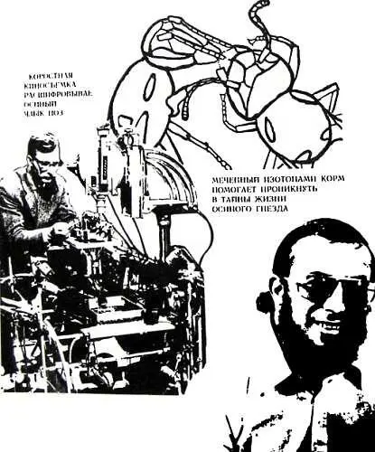 Итак на голом единственном в сущности двухмерном соте полистов Парди а - фото 195
