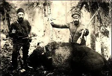Один из последних кавказских зубров Зубры на Алтайском круглогодичном - фото 26