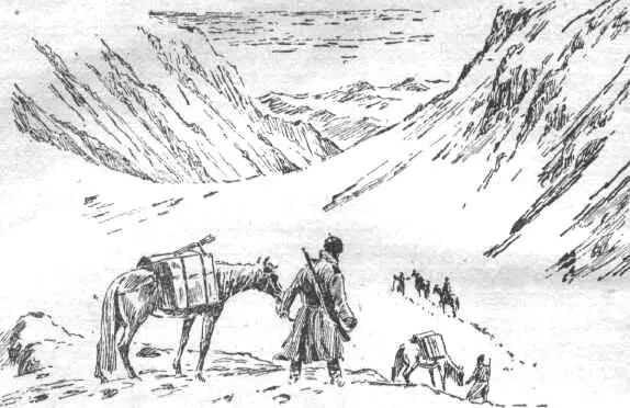 29 К ЦЕНТРУ БЕЛОГО ПЯТНА Впервые русские путешественники и исследователи - фото 6