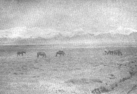 32 Алайская долина вдали Заалайский хребет Фото Ф Соловьева Большая часть - фото 7