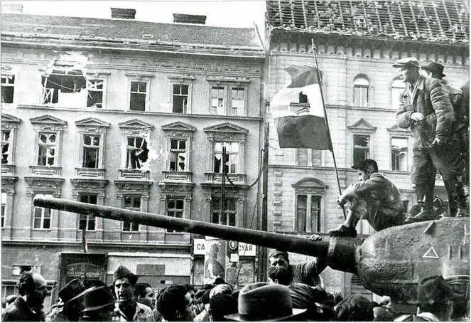 Символ венгерского восстания государственный флаг из которого вырезали герб - фото 11