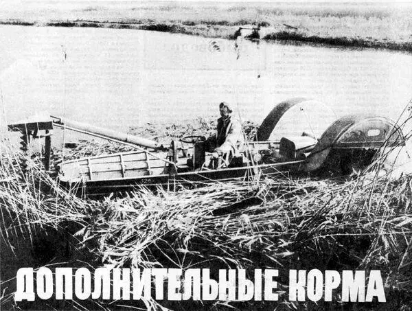 Успехи прудового рыбоводства во многом зависят от обеспечения этой отрасли - фото 7