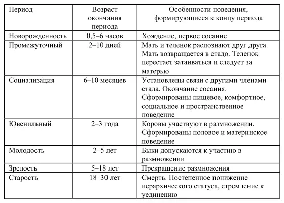 В промежуточный период устанавливаются новые связи между матерью и - фото 13