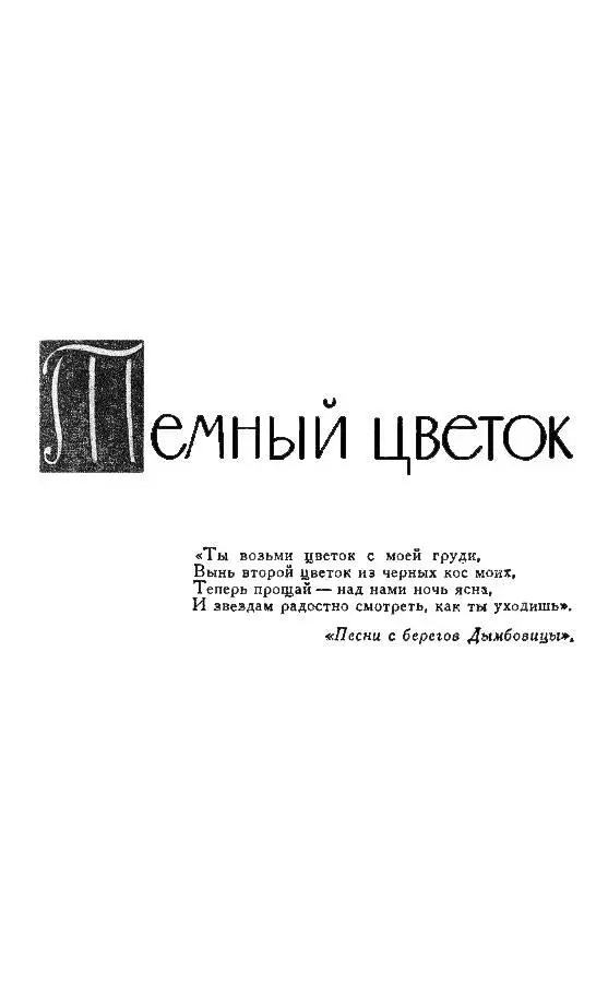 ТЕМНЫЙ ЦВЕТОК ЧАСТЬ I ВЕСНА I Он шел по Холиуэллстрит ранним июньским - фото 6