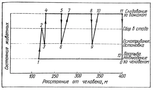 Рис 6 Схема позволяет проследить последовательность поведения архаров Бадхыза - фото 11