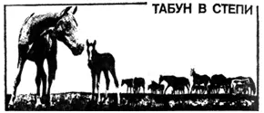 Всего неделю назад когда приотстав от табуна с гребня вала я смотрел на - фото 16