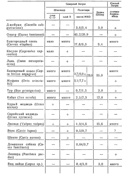 Таблица 2 Фауна раннего рн и позднего пн неолита Загроса Таблица 3 - фото 12