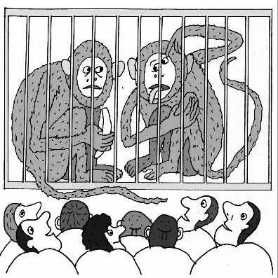 You belong in the circus Задание 258 дание 258 25 В каком из двух случаев у - фото 26