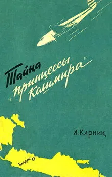 Анант Карник - Тайна «Принцессы Кашмира»