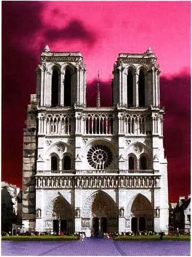 Собор Парижской Богоматери В наши дни ее ежегодно посещают пять с половиной - фото 43