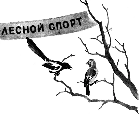 Внимание Внимание Зимний спортивный сезон у птиц и зверей в разгаре Птичья - фото 13