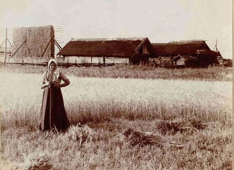 С М ПрокудинГорский На жнитве У села Бычи Бытча 1911 год Село Бытча - фото 148