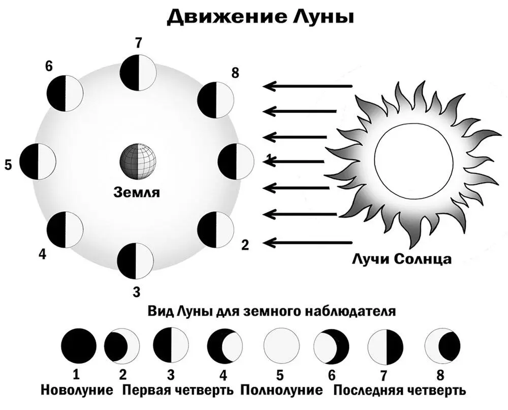 Когда Луна расположена между Землей и Солнцем 1 мы с Земли ее не видим - фото 6