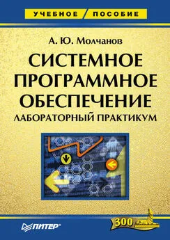 Алексей Молчанов - Системное программное обеспечение. Лабораторный практикум