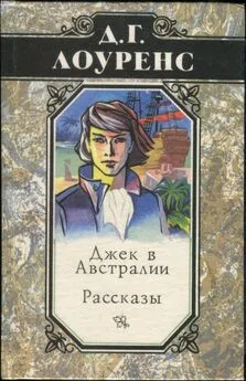 Дэвид Лоуренс - Избранные произведения в 5 томах. Книга 4: Джек в Австралии. Рассказы