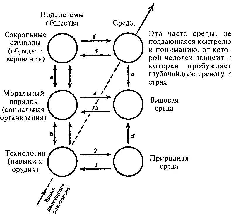 Рис 21 Человеческие среды и адаптивные культурные контексты в которых - фото 26