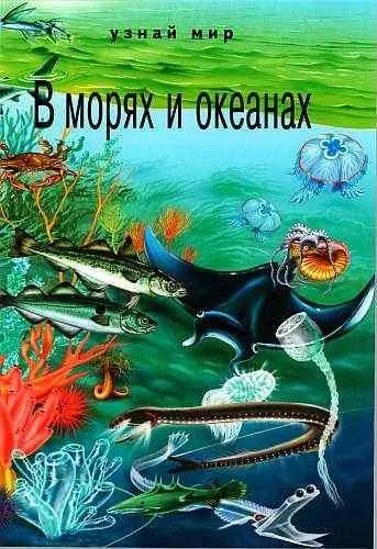 С Ю Афонькин В морях и океанах Введение 1 губки 2 медузы 3 - фото 1