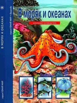 Сергей Афонькин - В морях и океанах