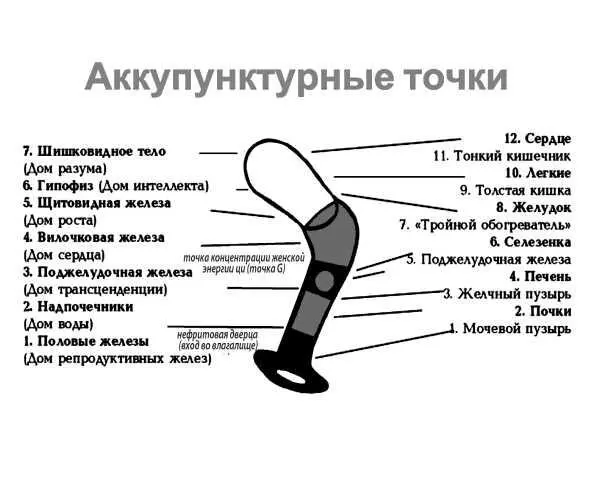 Очень хорошо если ваш мужчина научится делать именно вагинальный массаж Это - фото 9