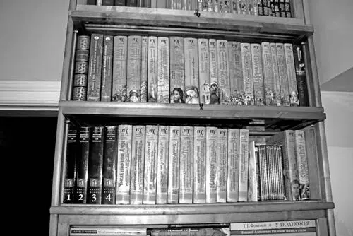 Рис 3214 Некоторые наши книги по хронологии Нижняя полка часть книг - фото 339